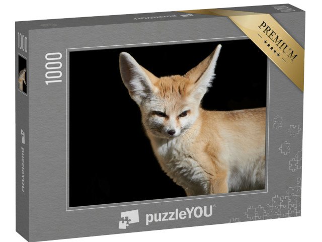 Puzzle de 1000 pièces « Gros plan sur un renard fennec »