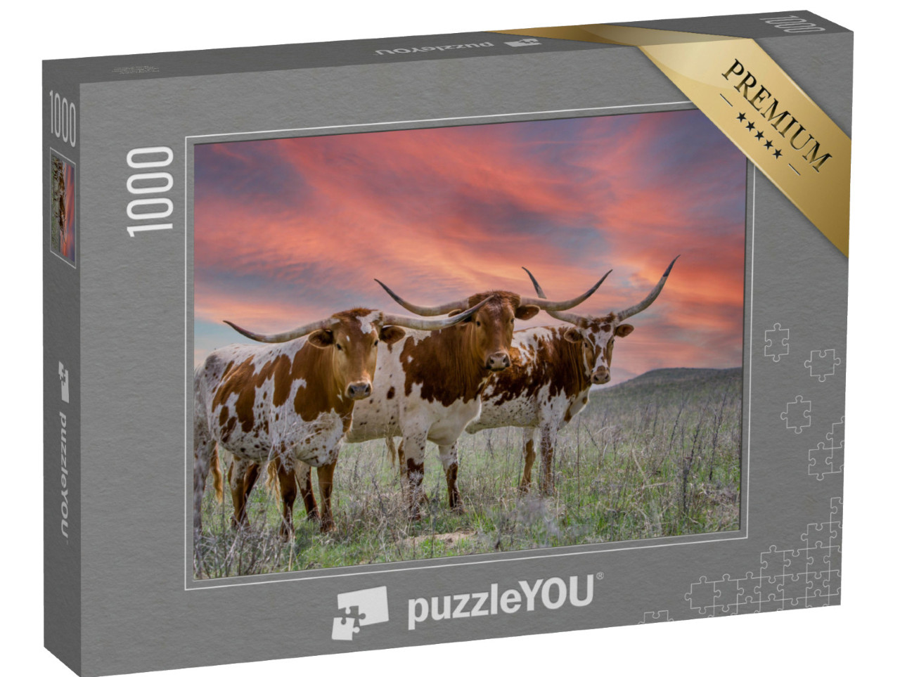 Puzzle de 1000 pièces « Bovins Texas-Langhorn dans un pâturage de l'Oklahoma Panhandle »
