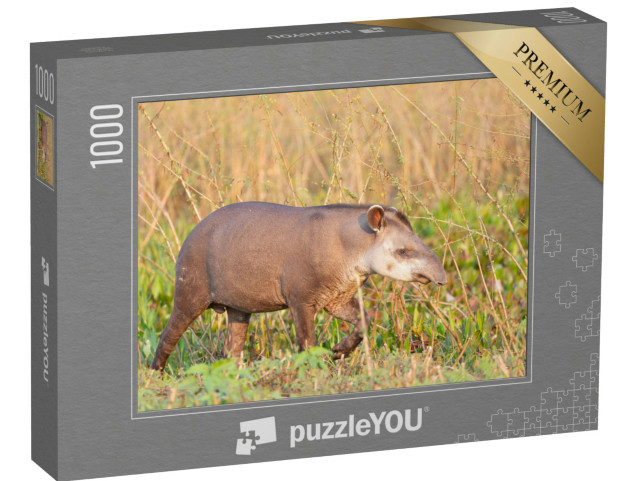 Puzzle de 1000 pièces « Un tapir des plaines dans la jungle brésilienne »