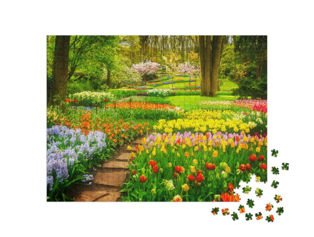 Puzzle de 1000 pièces « Des parterres de tulipes colorés dans le parc »