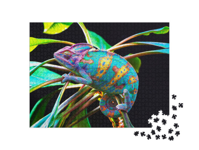 Puzzle de 1000 pièces « Caméléon »