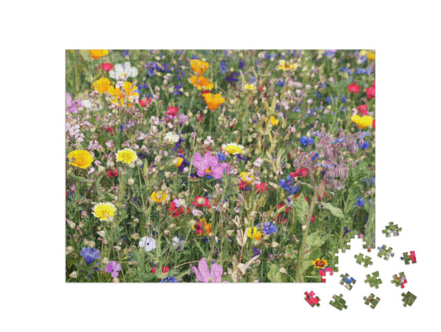 Puzzle de 500 pièces « Une prairie multicolore avec des fleurs sauvages »