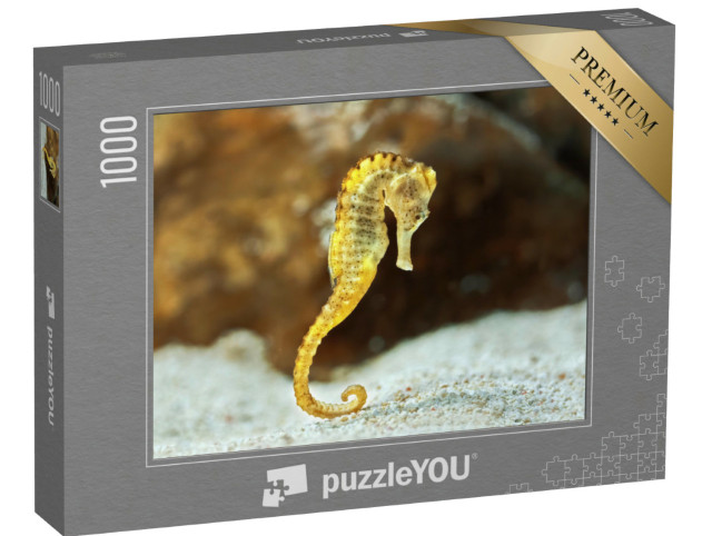Puzzle de 1000 pièces « Hippocampes au fond de la mer »