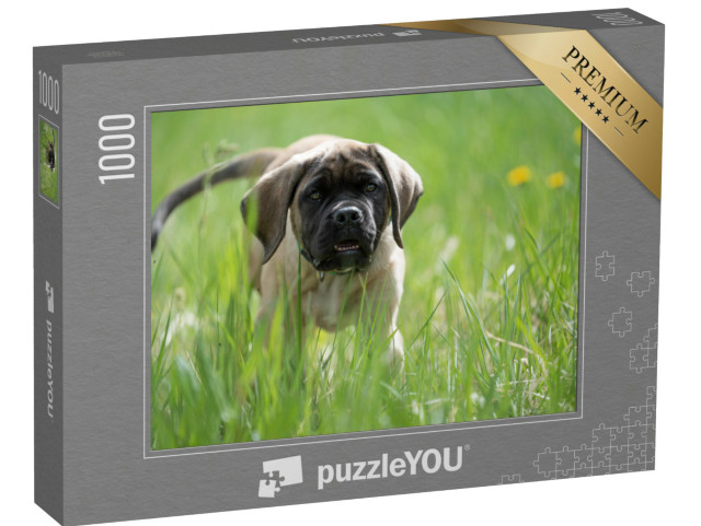 Puzzle de 1000 pièces « Chiot Mastiff anglais joue »