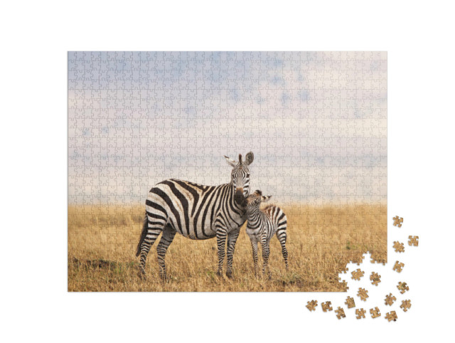 Puzzle de 1000 pièces « Zèbre de Burchell ou zèbre des steppes en Tanzanie »