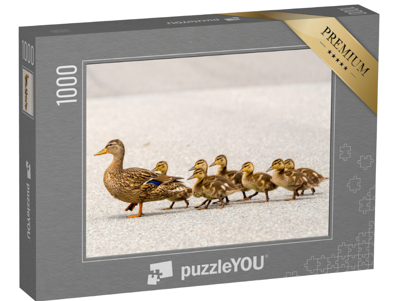 Puzzle de 1000 pièces « Une maman canard et ses canetons »