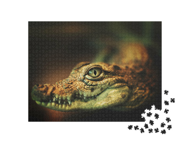 Puzzle de 1000 pièces « Le crocodile montre les dents »