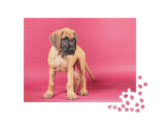 Puzzle de 1000 pièces « Dogue allemand fauve »