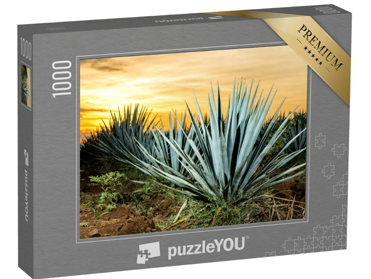 Puzzle de 1000 pièces « Tequila-Plantage, Guadalajara, Mexique »