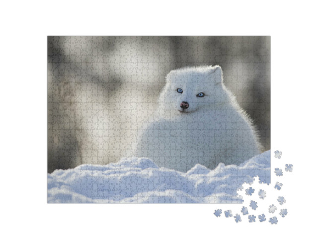 Puzzle de 1000 pièces « Renard polaire aux yeux bleus perçants »