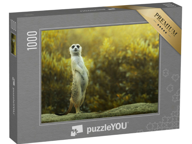 Puzzle de 1000 pièces « Suricate debout sur la pierre »
