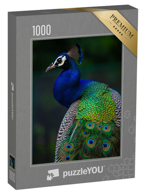 Puzzle de 1000 pièces « Paon indien »