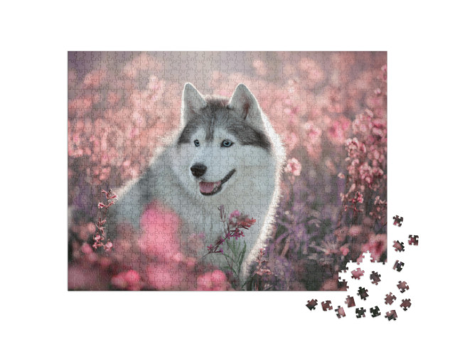 Puzzle de 1000 pièces « Magnifique husky dans un champ en fleurs »