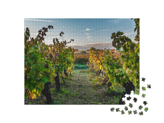 Puzzle de 1000 pièces « Vignoble du Languedoc-Roussillon en automne au coucher du soleil »