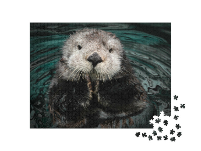 Puzzle de 1000 pièces « Loutre de mer dans l'eau »