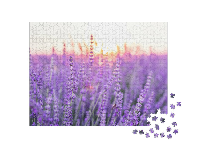 Puzzle de 1000 pièces « Coucher de soleil sur un champ de lavande, Provence, France »