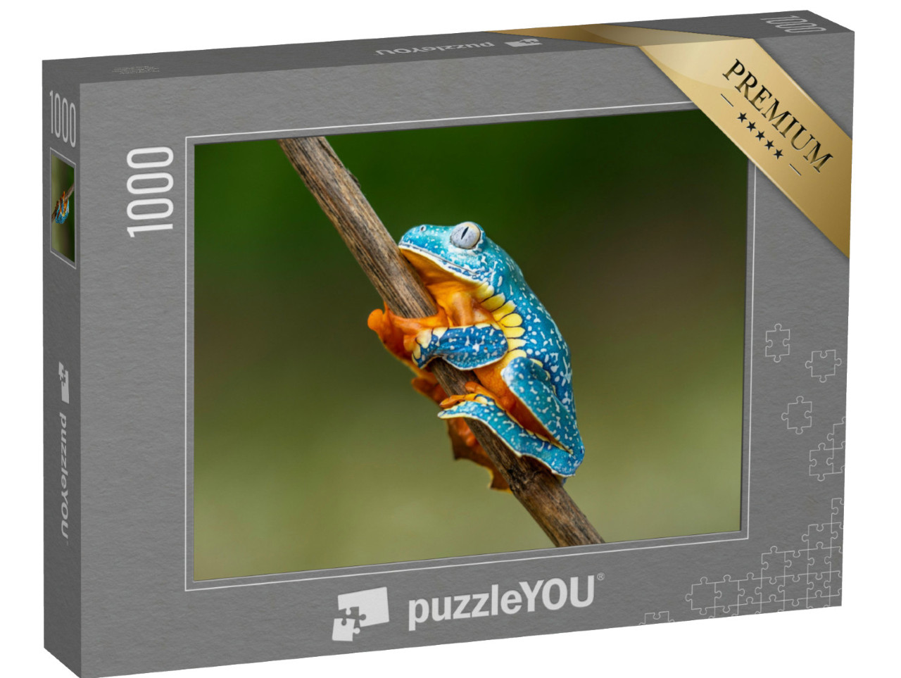 Puzzle de 1000 pièces « La rainette à yeux dorés s'accroche à une branche d'arbre »