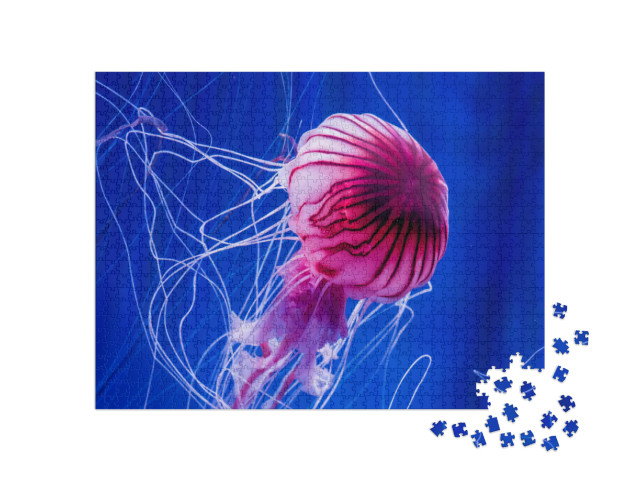 Puzzle de 1000 pièces « Méduse rose sur fond de mer bleue »