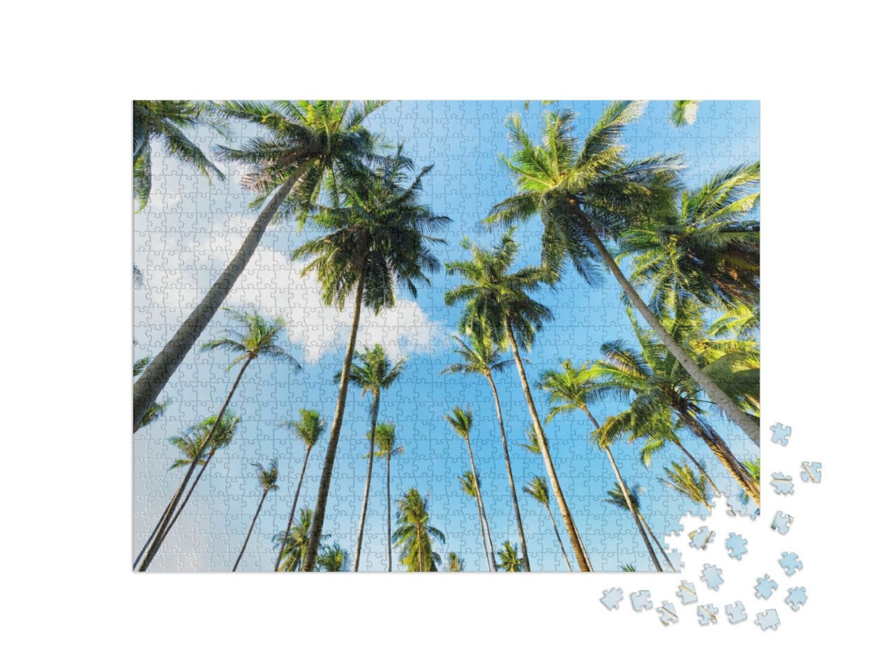 Puzzle de 1000 pièces « Vue vers le haut entre les palmiers »