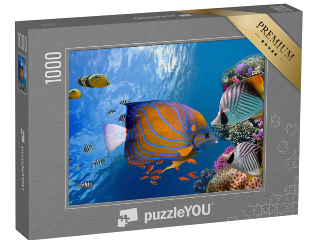 Puzzle de 1000 pièces « Monde sous-marin enchanteur, mer Rouge »