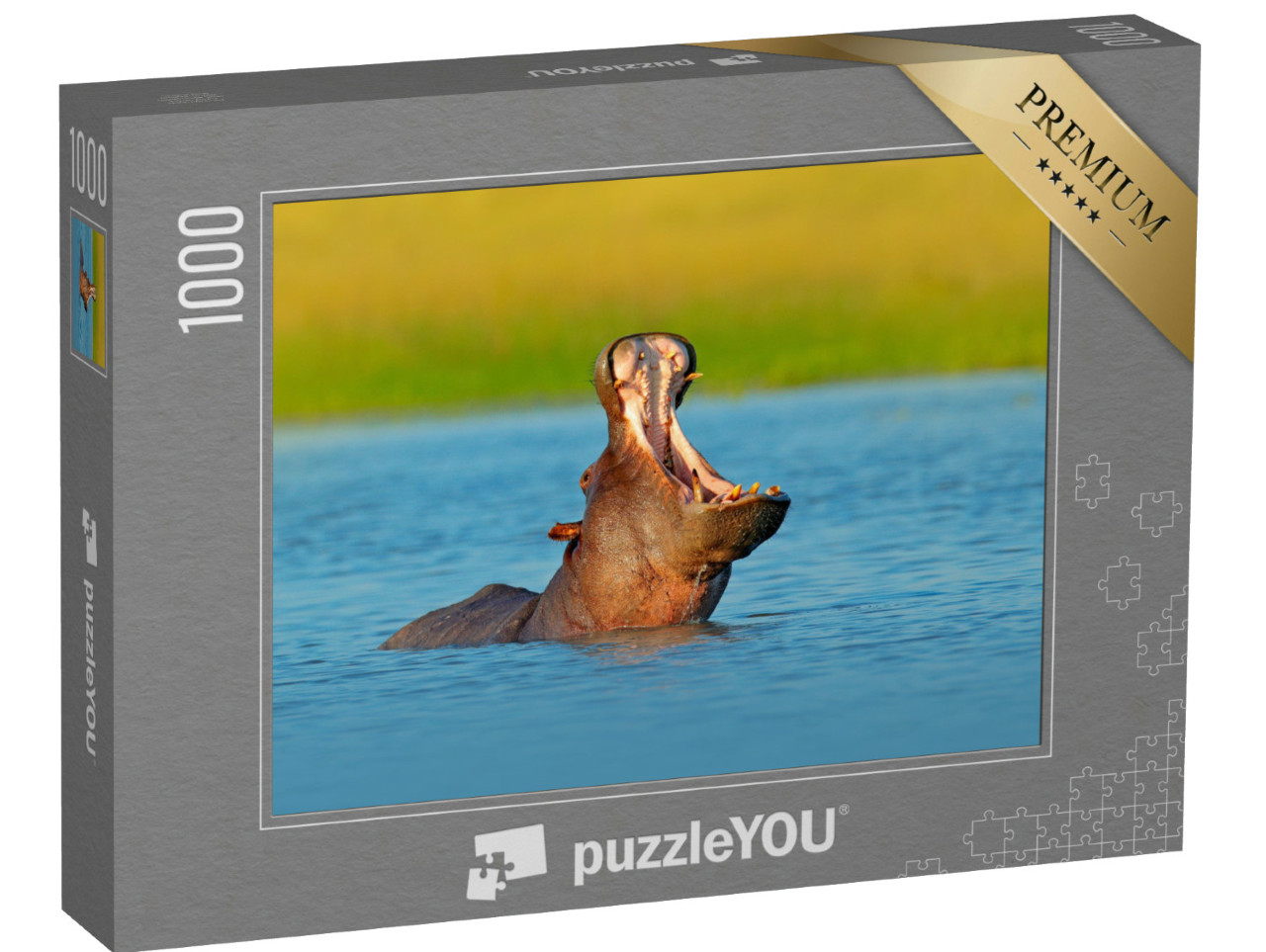 Puzzle de 1000 pièces « Hippopotame avec le museau ouvert dans l'eau, Botswana, Afrique »