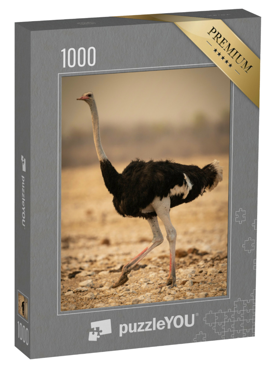 Puzzle de 1000 pièces « Autruche mâle marchant à travers un paysage rocheux »