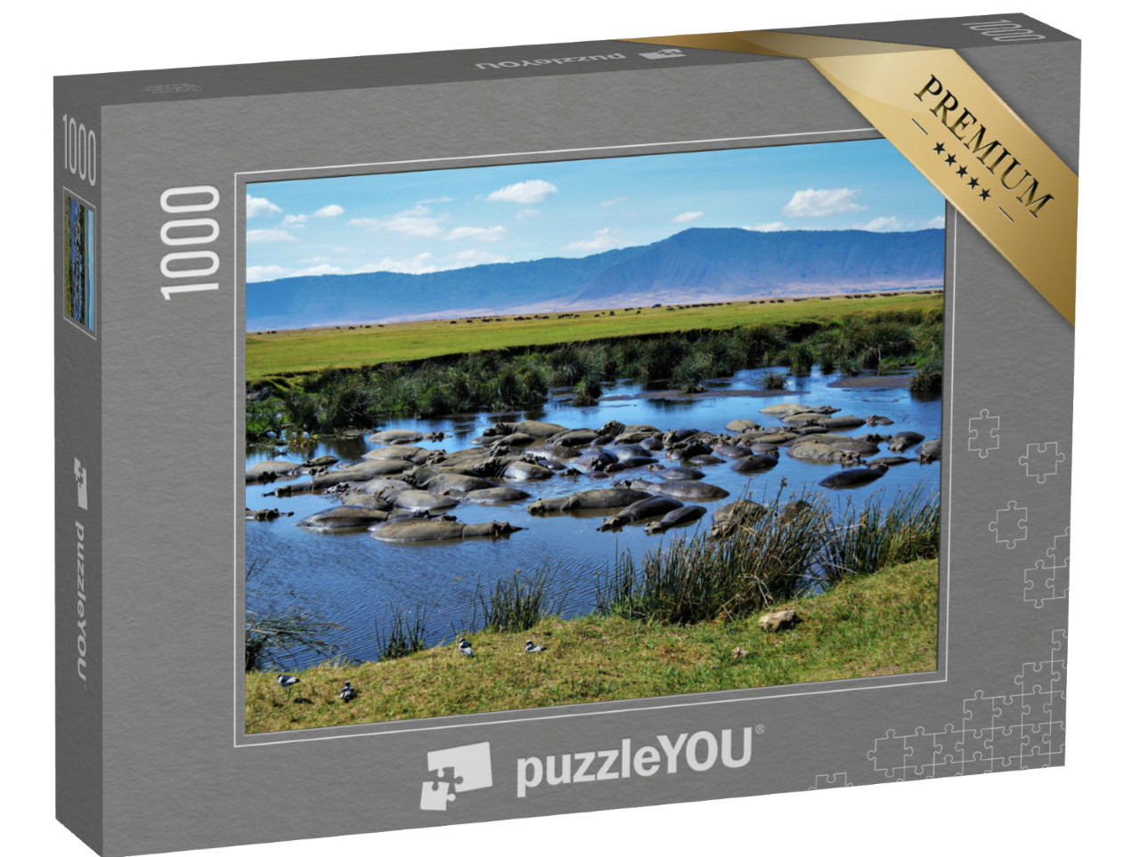 Puzzle de 1000 pièces « Bassin des hippopotames, cratère du Ngorongoro, Tanzanie »