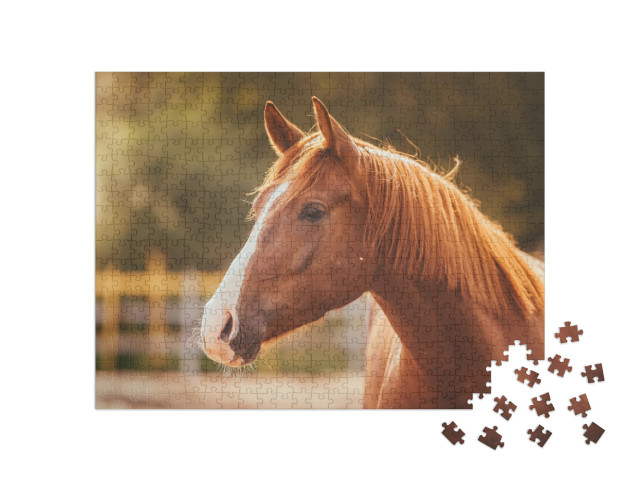Puzzle de 500 pièces « Portrait d'un cheval dans la lumière du soir »