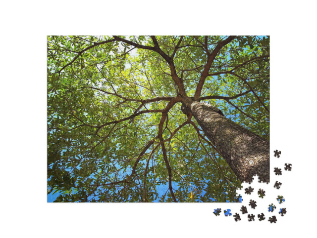 Puzzle de 1000 pièces « La cime d'un arbre en été »