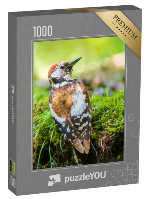 Puzzle de 1000 pièces « Gros plan sur un pic mar »