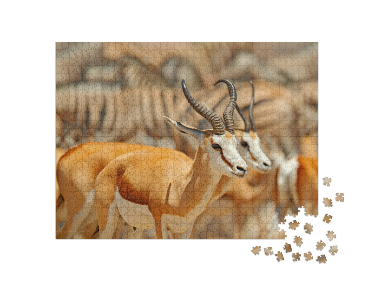 Puzzle de 1000 pièces « Un groupe d'animaux à un point d'eau, Namibie »