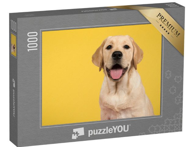 Puzzle de 1000 pièces « Portrait d'un labrador retriever doré »