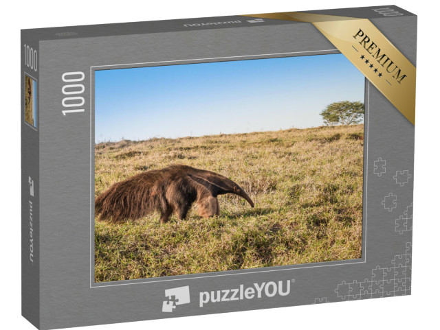 Puzzle de 1000 pièces « Un fourmilier géant sauvage dans les pâturages »