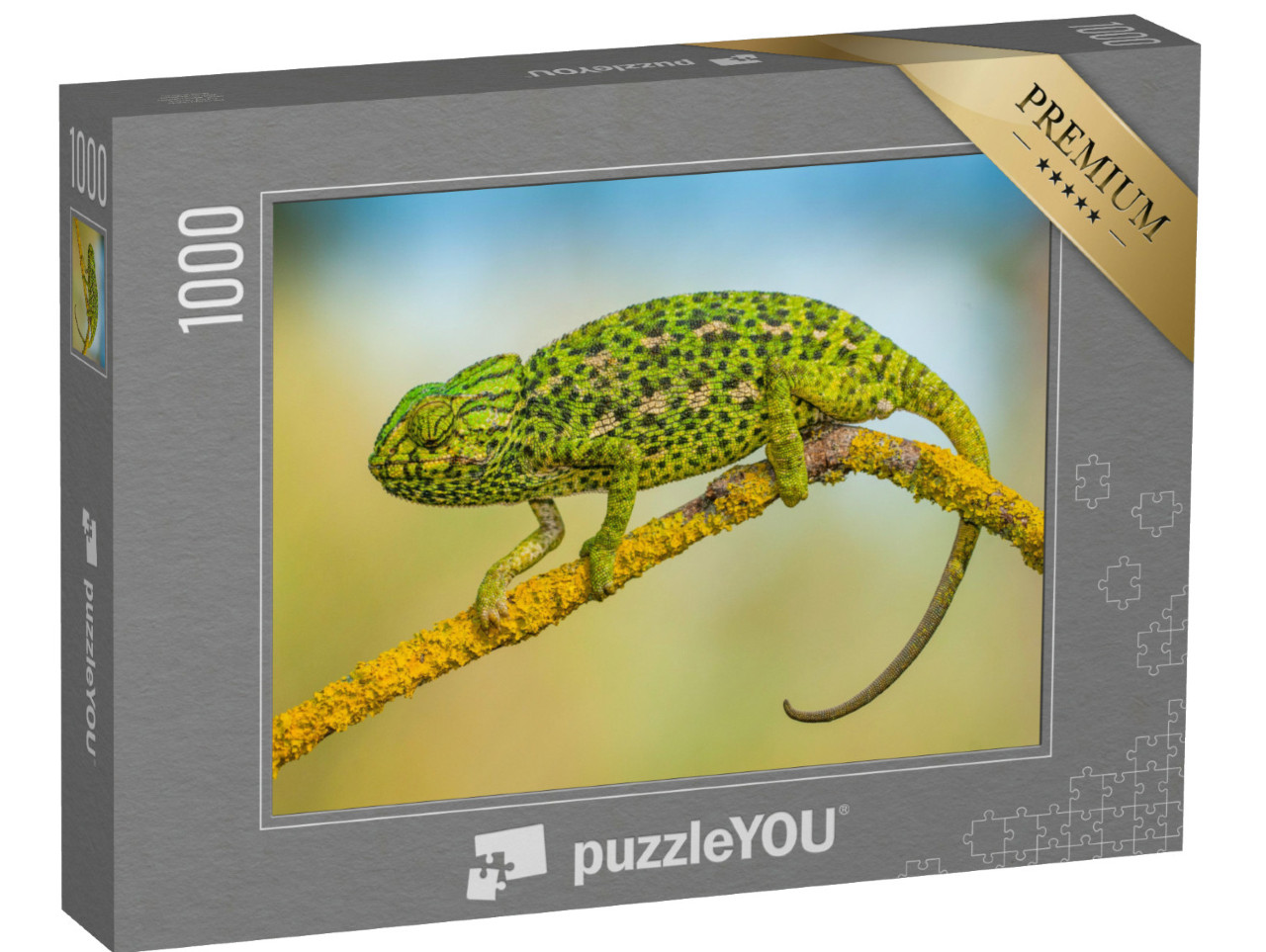 Puzzle de 1000 pièces « Caméléon commun »