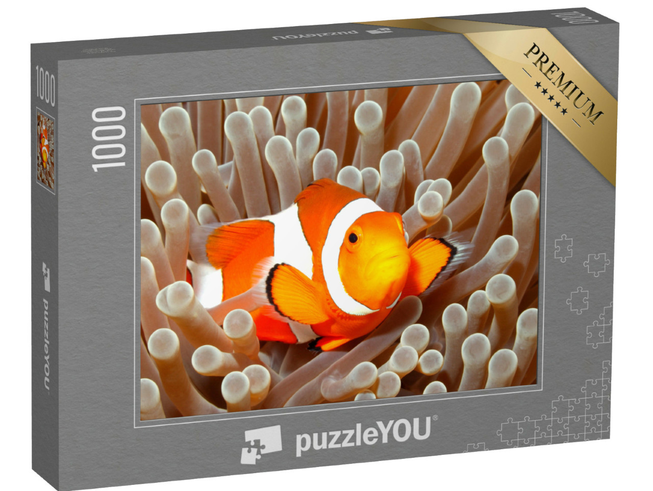 Puzzle de 1000 pièces « Anémone clown, Bali, Indonésie »