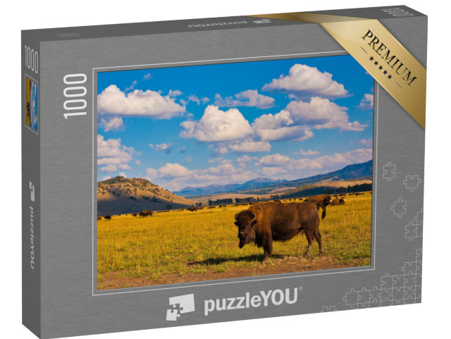 Puzzle de 1000 pièces « Liberté pour les bisons dans le parc national de Yellowstone, USA »