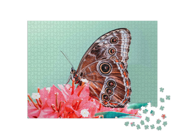 Puzzle de 1000 pièces « Un papillon »