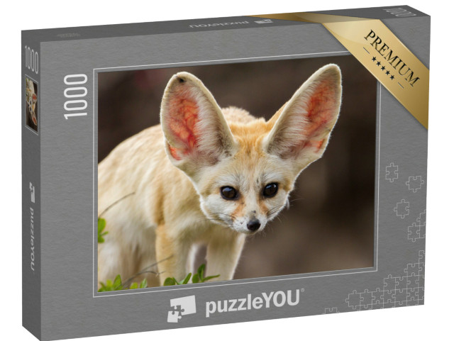 Puzzle de 1000 pièces « Adorable renard fennec aux grandes oreilles »