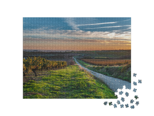 Puzzle de 1000 pièces « Vignoble du Languedoc-Roussillon traversé par une petite route au coucher du soleil »