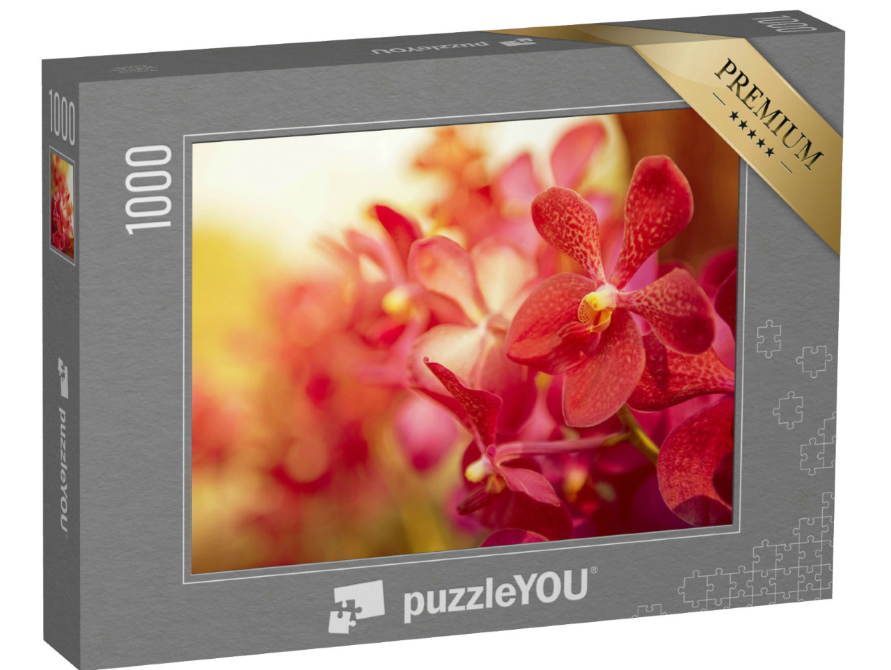 Puzzle de 1000 pièces « Magnifique orchidée dans la lumière du soir »