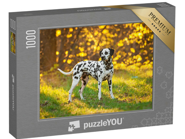 Puzzle de 1000 pièces « Dalmatiens au coucher du soleil »