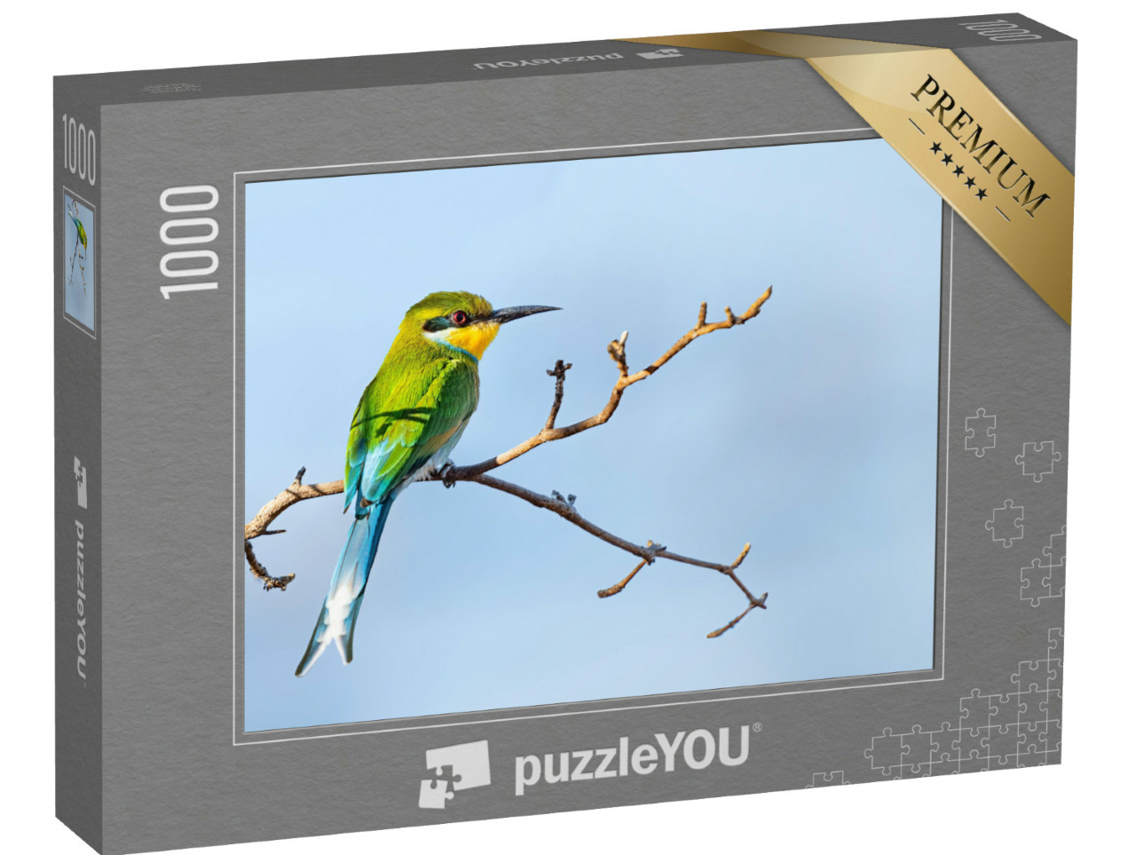 Puzzle de 1000 pièces « Cygne hirondelle sur un acacia, Botswana »