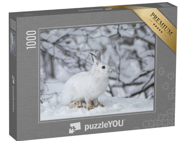 Puzzle de 1000 pièces « Lièvre blanc dans l'hiver canadien »