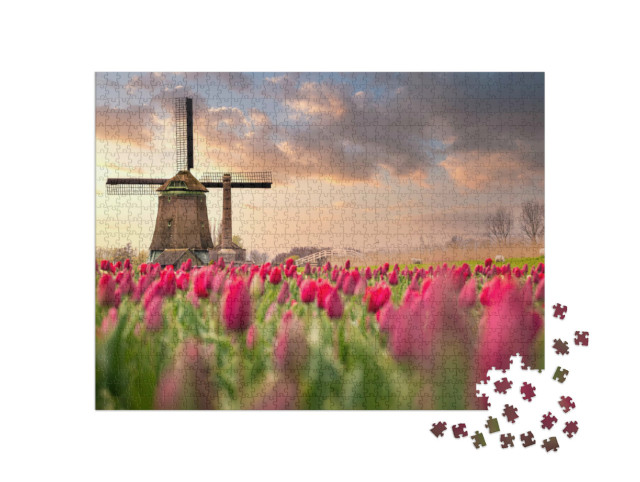 Puzzle de 1000 pièces « Champs de tulipes et moulins à vent aux Pays-Bas »