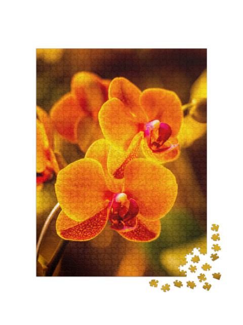 Puzzle de 1000 pièces « Fleur d'orchidée lumineuse en orange »