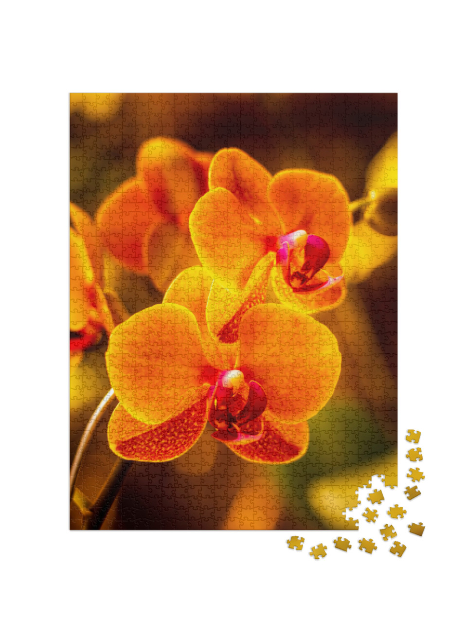 Puzzle de 1000 pièces « Fleur d'orchidée lumineuse en orange »