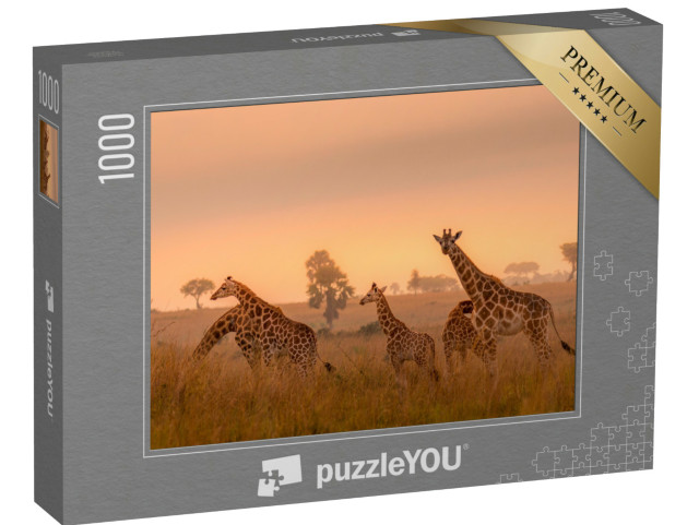 Puzzle de 1000 pièces « Girafes de Rothschild au lever du soleil, Parc national de Murchison Falls, Ouganda »