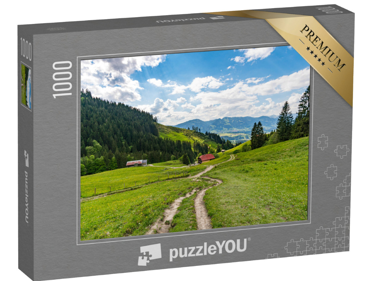 Puzzle de 1000 pièces « Magnifiques Alpes d'Allgäu »