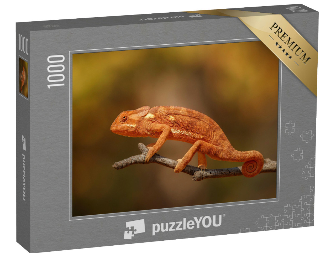 Puzzle de 1000 pièces « Caméléon sauvage en Afrique »