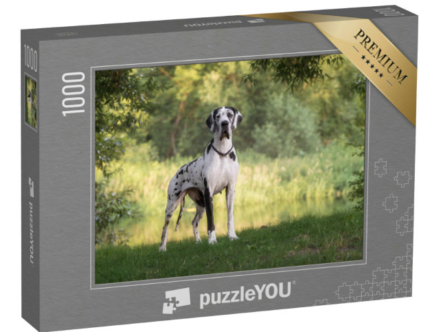 Puzzle de 1000 pièces « Beau paysage avec un dogue allemand »